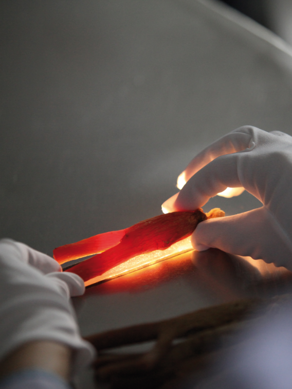 幻灯片图片
                                                    2